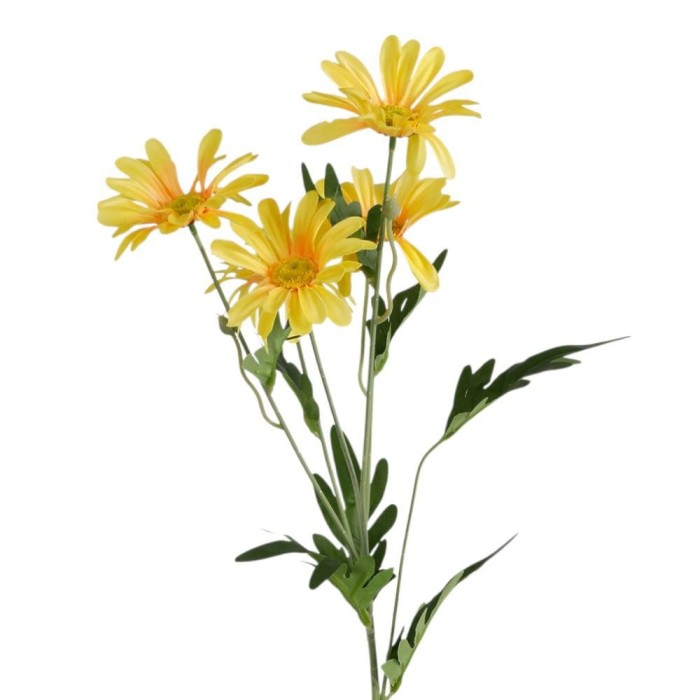 TRALCIO MARGHERITE  GIALLO